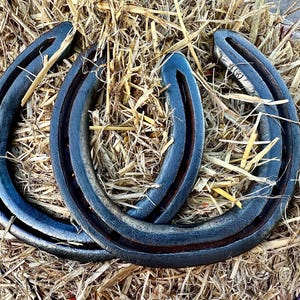 Real Used Horseshoe |Straight From Farrier |  Genuine Horseshoe - Perfect for weddings, anniversaries or to hang up! Rustic and authentic