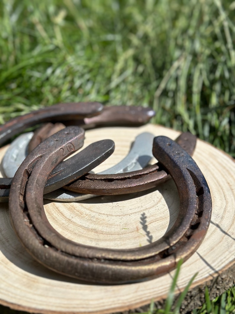 Real Used Horseshoe Genuine Horseshoe Straight From Farrier Perfect for
