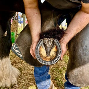 Real Used Horseshoe |Straight From Farrier |  Genuine Horseshoe - Perfect for weddings, anniversaries or to hang up! Rustic and authentic