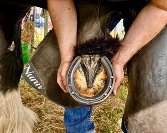 Real Used Horseshoe |Straight From Farrier |  Genuine Horseshoe - Perfect for weddings, anniversaries or to hang up! Rustic and authentic