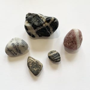 May include: Five assorted natural stones of varying sizes and shapes. The stones display a range of colors, including black, white, gray, and reddish-brown. Some stones have striped or speckled patterns, while others are solid.