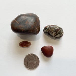 May include: An assortment of polished stones in shades of brown, red, and gray, including a large, smooth, dark brown stone, smaller rounded stones, and a U.S. dime for size comparison. The stones vary in shape and texture.