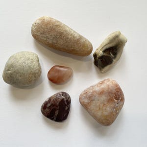 May include: A collection of six smooth, naturally shaped stones in various sizes and colors. The stones range from light tan to reddish-brown and dark maroon, with a few having speckled patterns. The stones are arranged on a white surface.
