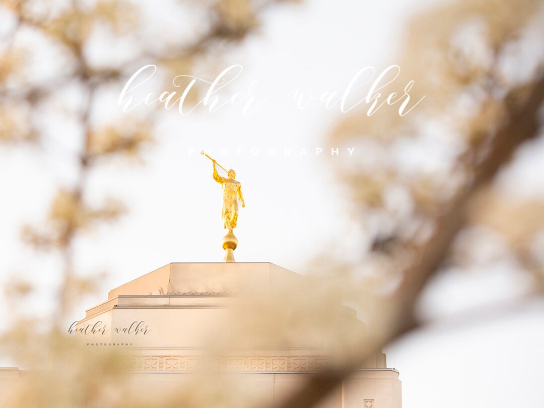 Moroni Temple Print Spring Blossoms - Etsy
