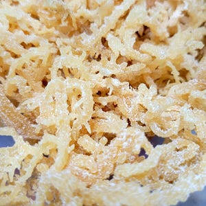 100% Natural Organic Raw Wildcrafted  Caribbean Gold Sea Moss Premium Grade A Quality Bulk Qty Available