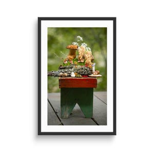 Mushroom, Moss, Lichen Arrangement on Red and Green Stool Photographic Print