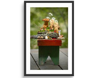 Mushroom, Moss, Lichen Arrangement on Red and Green Stool Photographic Print