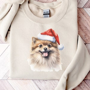 Do pomeranians need sweaters sales