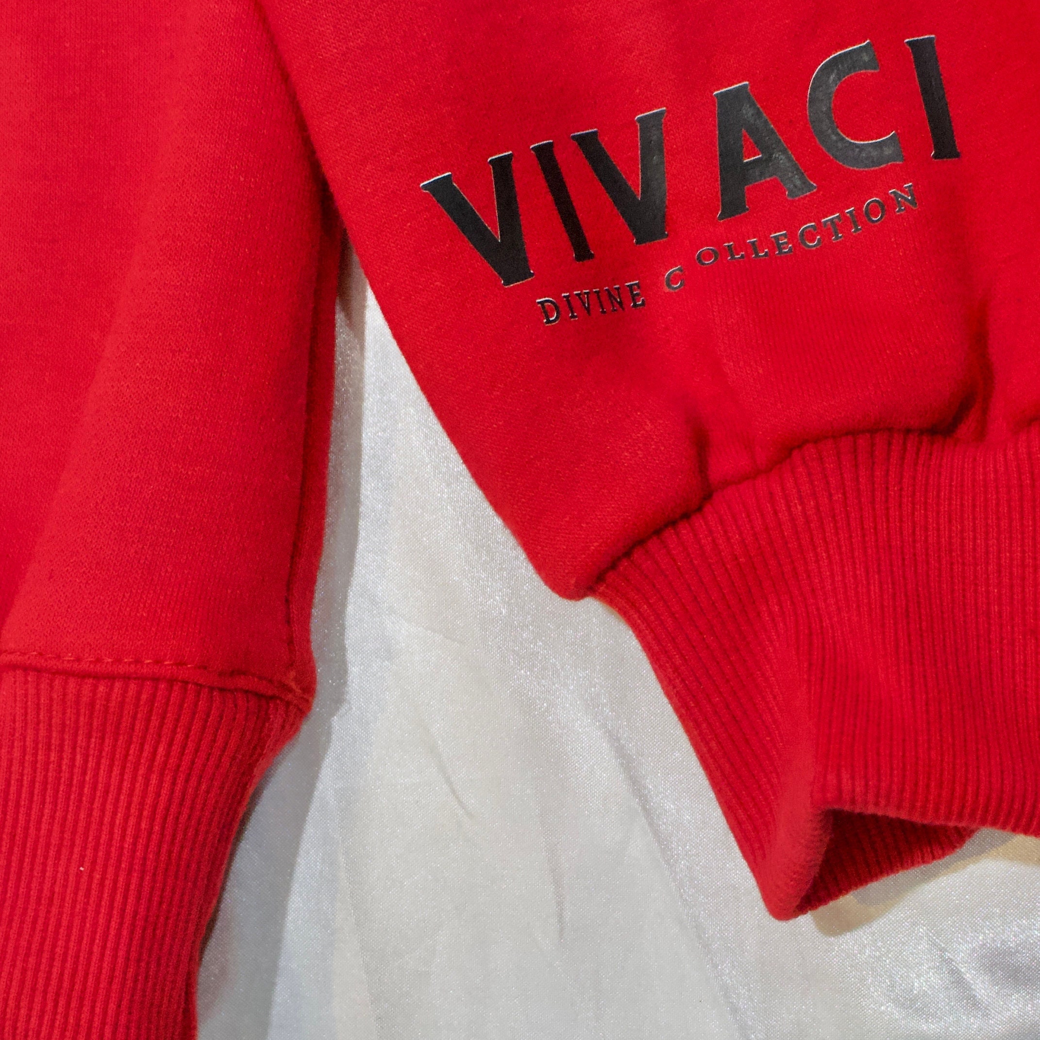 Red Satin Lined Hoodie Sweatshirt for Curly Hair and Natural Hair Y2K