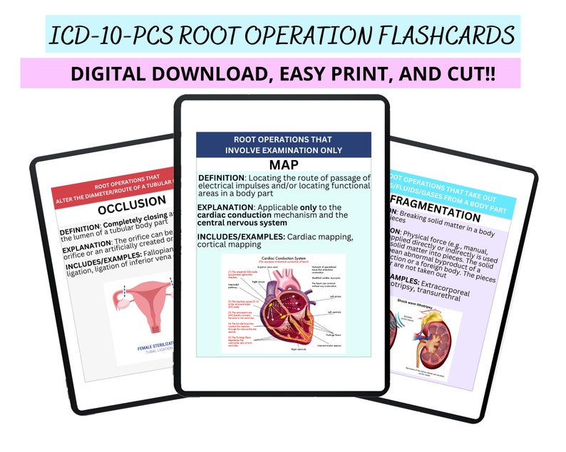 May include: Three flashcards with illustrations and text explaining different root operations in medicine. The first card shows a female reproductive system with the text "OCCLUSION". The second card shows a heart with the text "MAP". The third card shows a kidney with the text "FRAGMENTATION".