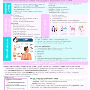 Bundle Medical Coding ICD 10 Respiratory Section Cheat Sheet COPD Pneumonia Acute Respiratory Failure Digital Download Printable PDF Nurse