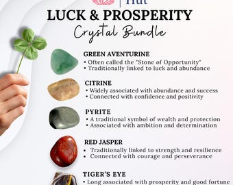 Luck & Prosperity Crystal Kit | 5 Natural Tumbled Stones | Abundance Gift | Crystal Set