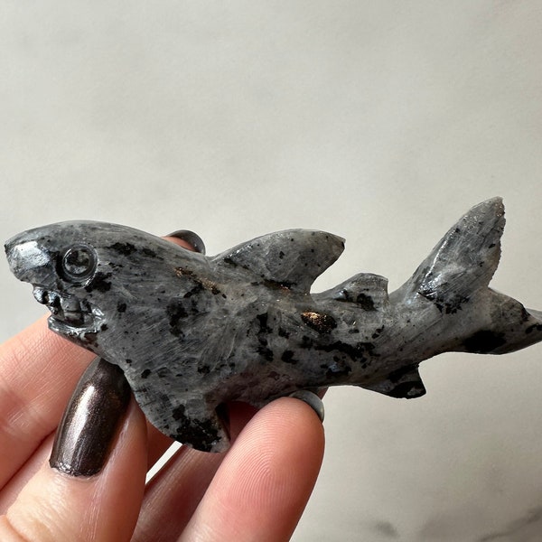 Larvikite Shark Carvings | Intuitively Chosen
