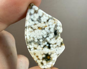 Mini Polished Ocean Jasper | Natural Marovato Jasper