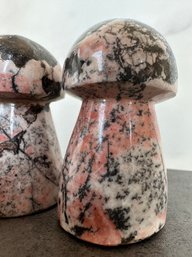 Rhodonite Mushroom Carving - Handcrafted Crystal Decor - Unique ...