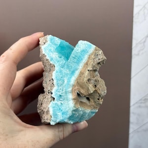 May include: A hand holding a rough-cut mineral specimen. The stone features a striking contrast of colors, with a vibrant, light blue center and a surrounding matrix of tan and brown hues. The mineral has a textured surface.