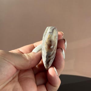 May include: A polished, teardrop-shaped stone with a swirling pattern of brown, cream, and gray bands. The stone is held in a hand with white nail polish. The stone's surface is smooth and reflective, showcasing natural variations in color and texture.
