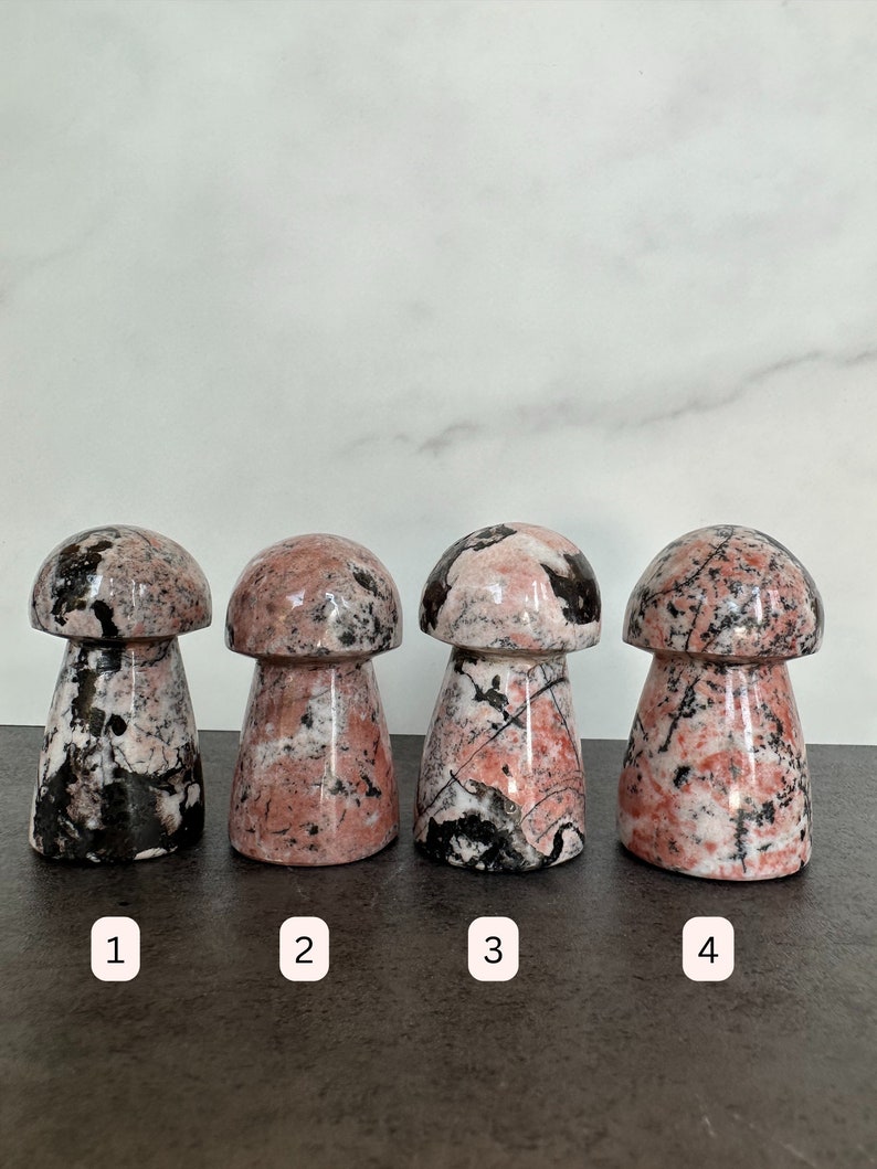 Rhodonite Mushroom Carving - Handcrafted Crystal Decor - Unique ...