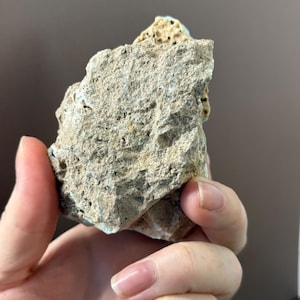 Puede incluir: Una muestra de roca rugosa y texturizada con una mezcla de tonos grises, beige y azul claro. La roca tiene una apariencia porosa con peque&ntilde;as motas oscuras. La muestra se sostiene en una mano, mostrando su forma natural e irregular.
