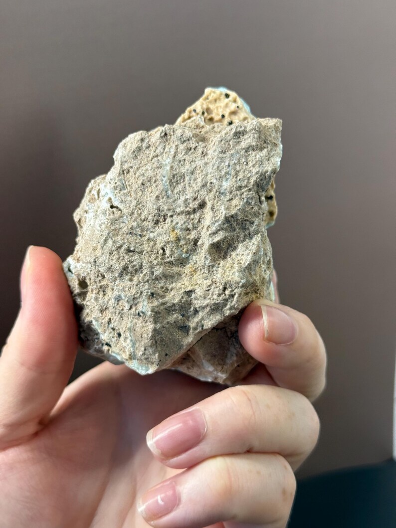 Puede incluir: Una muestra de roca rugosa y texturizada con una mezcla de tonos grises, beige y azul claro. La roca tiene una apariencia porosa con peque&ntilde;as motas oscuras. La muestra se sostiene en una mano, mostrando su forma natural e irregular.