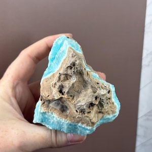 May include: A hand holds a piece of raw aragonite. The stone features a striking contrast of colors, with a vibrant turquoise blue edge surrounding a rough, tan-colored core. The aragonite has a porous texture with dark spots.