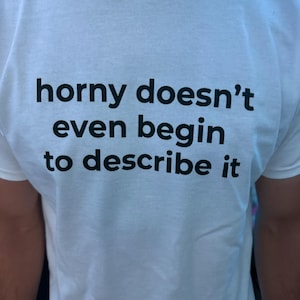 Horny Doesn't Even Begin To Describe It, Y2k Graphic Tee, Trendy Y2k Tshirt, trashy Y2K, Y2k Baby Tee, Y2k Party Shirt, Y2K Slogan Shirt,