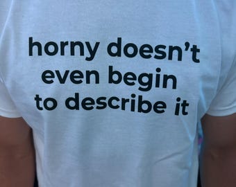 Horny Doesn&#39;t Even Begin To Describe It, Y2k Graphic Tee, Trendy Y2k Tshirt, trashy Y2K, Y2k Baby Tee, Y2k Party Shirt, Y2K Slogan Shirt,