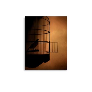 May include: A black silhouette of a bird inside a cage with the door open. The cage is against a brown background.