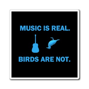 Magnets - Birds Are Not Real (1017)