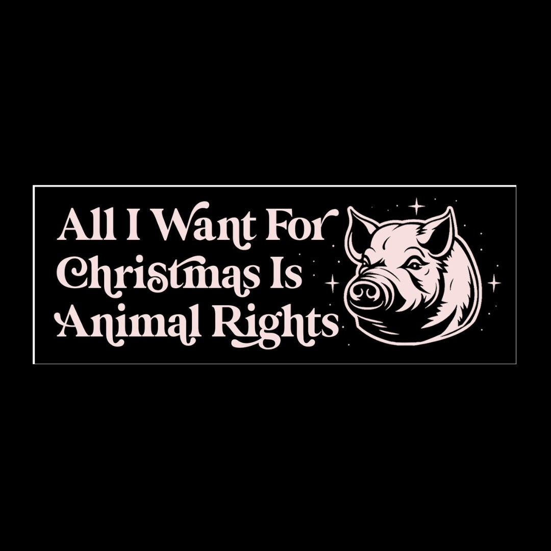 STICKER Animal Rights, Animal Liberation Decal, Christmas Stocking ...