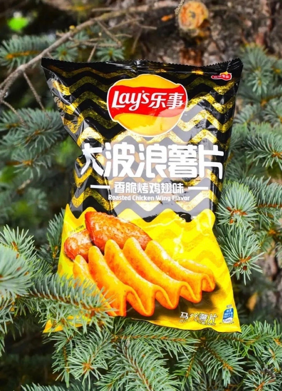 Lays Grilled Chicken Wing china Rare Exotic Asian Flavor Etsy