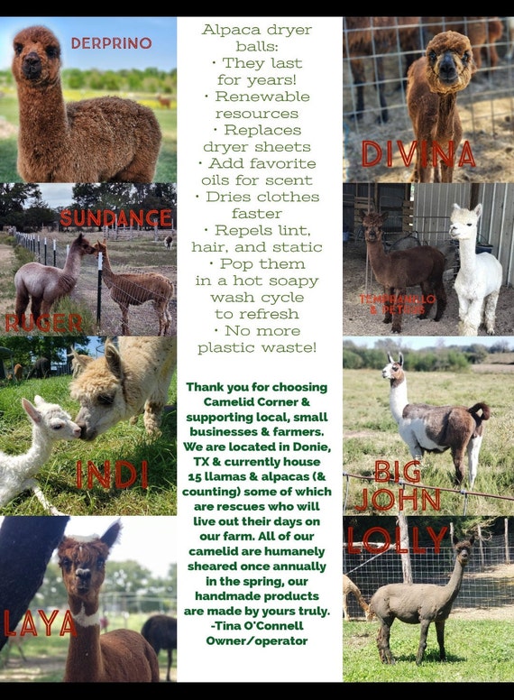 Llama 2024 dryer balls