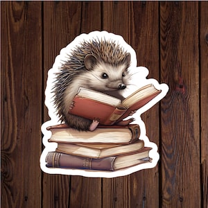 May include: A cute cartoon hedgehog wearing a red and brown book on a stack of books. The hedgehog is sitting on the top book and reading the book. The books are stacked on top of each other and have a brown cover.