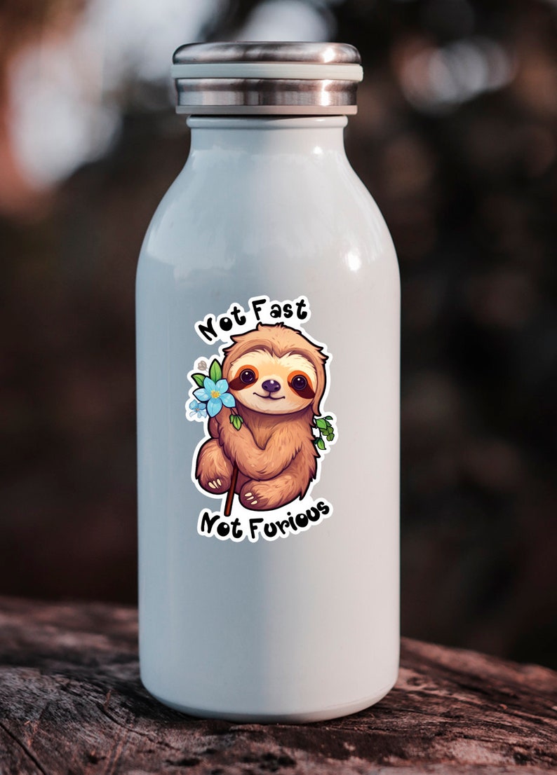 May include: White stainless steel water bottle with a sticker of a cartoon sloth holding a flower and the text "Not Fast Not Furious".