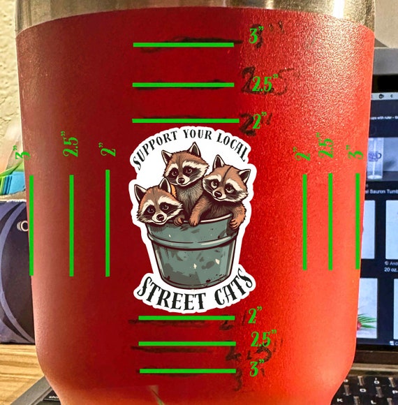 Raccoon Stickers - 100 adesivi impermeabili, ideali come regalo per skateboard, per laptop, auto, moto, bicicletta, 3 – 6 cm