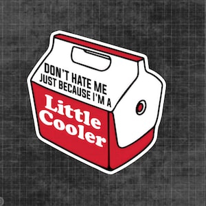 Don’t Hate Me Cause I Am A Little Cooler Sticker | Summer Time Stickers | Funny Adult Stickers | Gifts for Him | Gifts for Her | Vinyl Cut