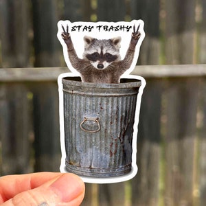 Pegatinas impermeables de mapache, regalo, pegatinas de vinilo de animales lindos, pegatinas de panda de basura, pegatinas de animales, regalos lindos de mapache para niños