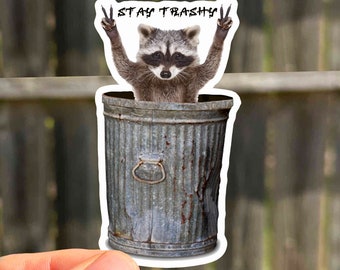 Raccoon Waterproof Sticker Gift Cute Animal Vinyl Stickers Trash Panda Stickers | Animal Stickers | Raccoon Cute Gifts For Child
