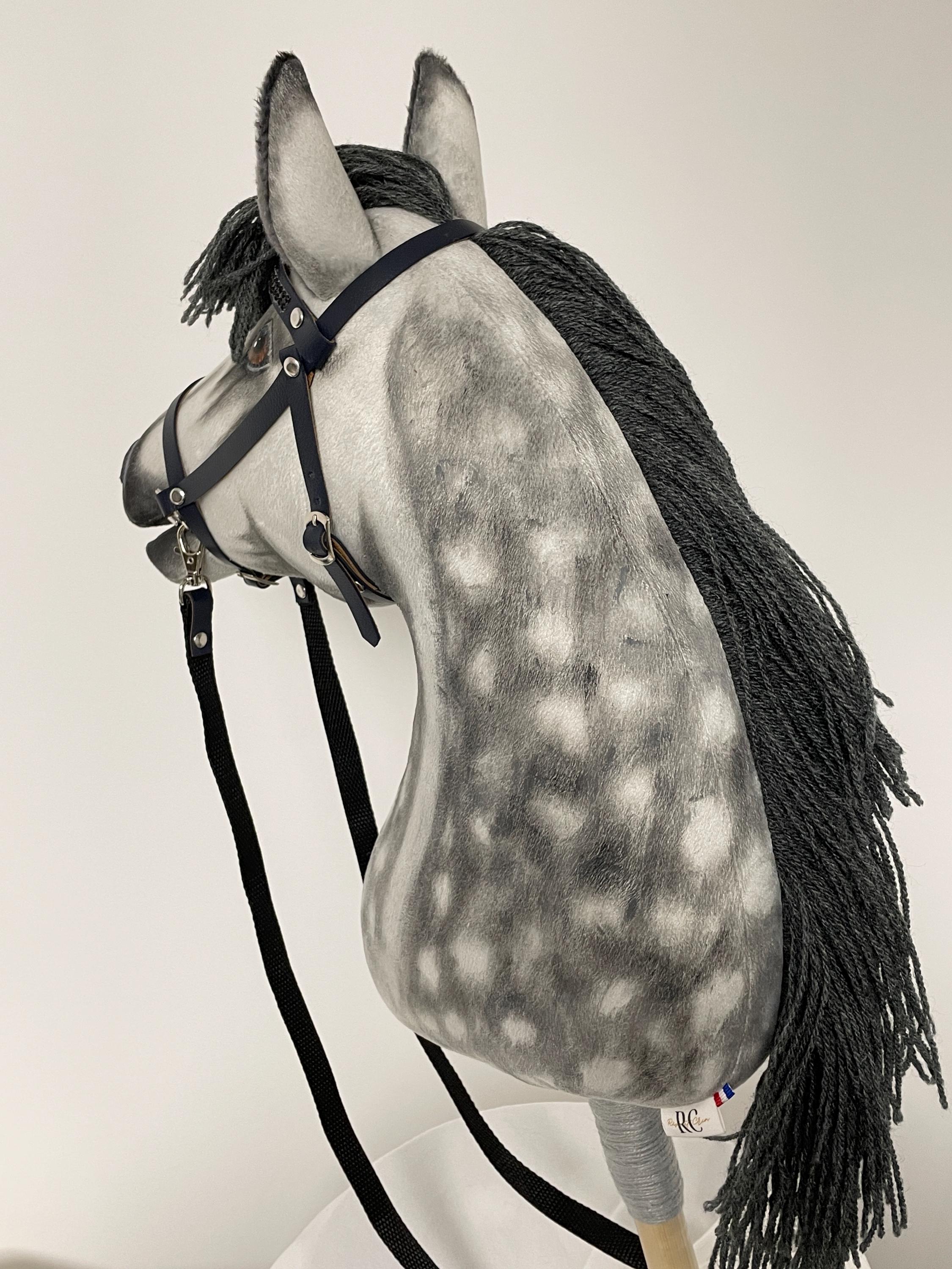 Hobby Horses: A Brief, Brief History - ! Media