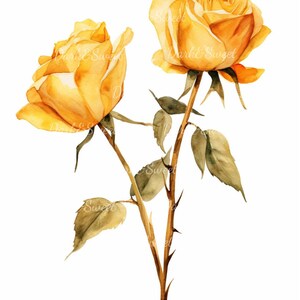 10 droge/dode bloemen Clip Art-hoge kwaliteit JPG's/digitale print/digitale download/craft/illustraties