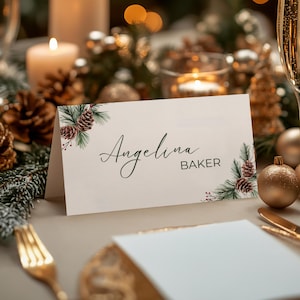 Plaatskaarten voor kerstbruiloft, zitkaart voor feest, groen winterbruiloft, naamkaartjes diner, rustieke groenblijvende dennenappel - CH7