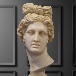 Bust of Apollo of Belvedere. Molded marble. 21.65in. Handmade in Europe.