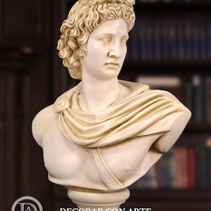 Bust of the Apollo of Belvedere. 50cm (19.68in). Marble finish. Handmade in Europe.