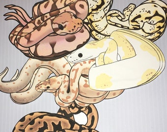 Ball Python Stickers