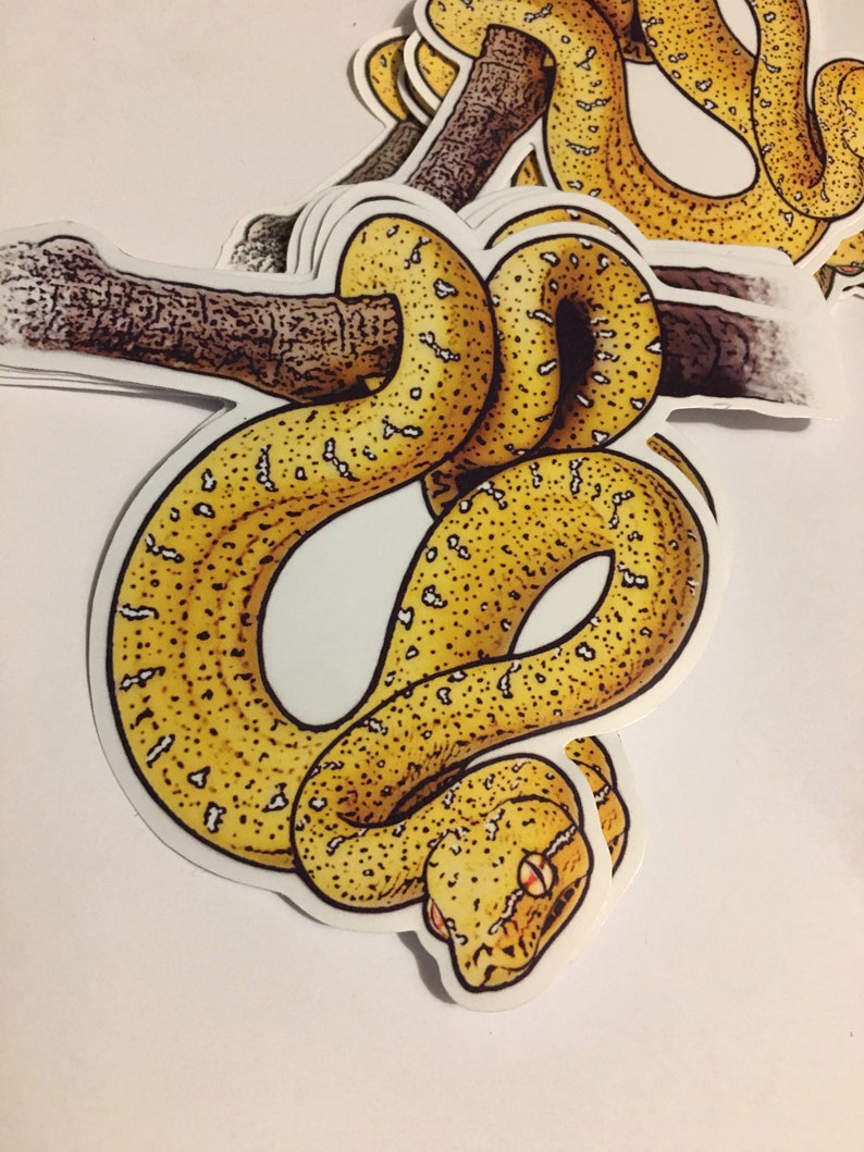 May include: A yellow and green snake with black spots is curled around a branch. The snake is a sticker and is printed on white paper.