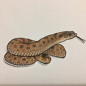 Hognose Sticker