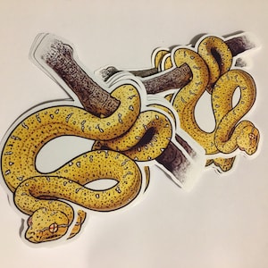 Puede incluir: Un conjunto de pegatinas con una serpiente amarilla y marrón envuelta alrededor de una rama. La serpiente tiene un patrón moteado y está representada en un estilo realista.
