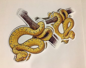 Grüne Baumpython Sticker