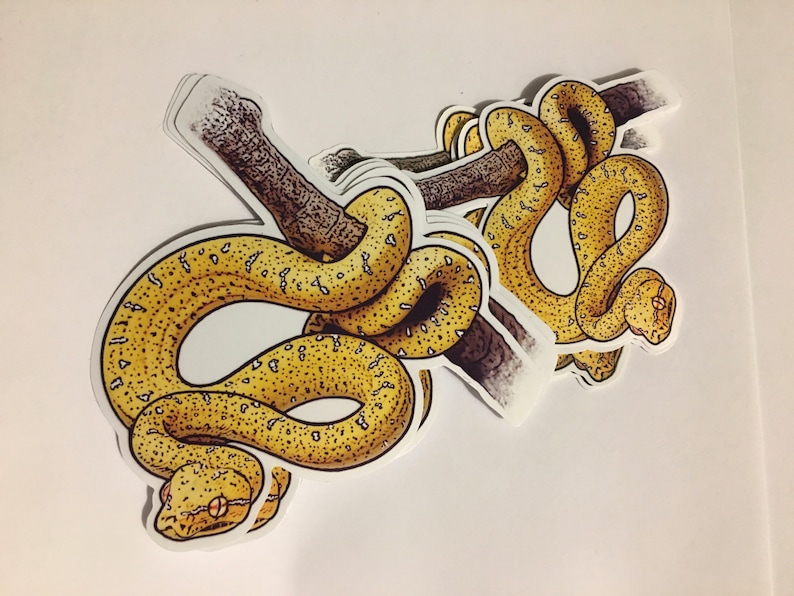 May include: A set of stickers featuring a yellow and brown snake wrapped around a branch. The snake has a spotted pattern and is depicted in a realistic style.