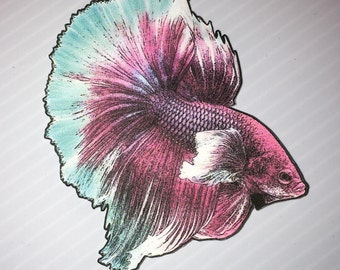Betta Fish Stickers
